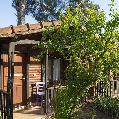 Pensionat Koala Olympos
