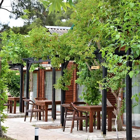Pensionat Koala Olympos