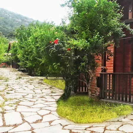 Pensionat Koala Olympos
