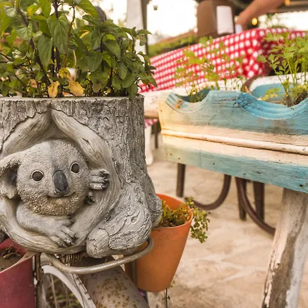 Koala Pensjonat